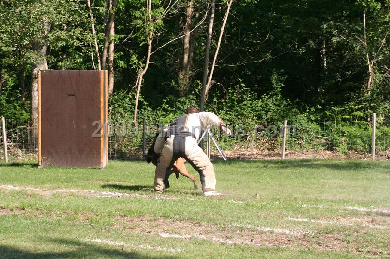 Twisty des Loups Mutins (9).jpg